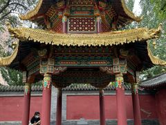 -护国法轮寺