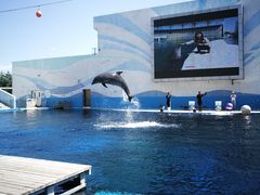 -北戴河圣蓝海洋公园