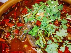 水煮土鳝鱼-庭院小酌(瑞莲街店)