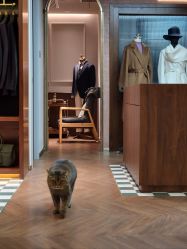 -优刻西服西装定制(金轮国际广场店)