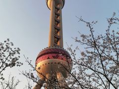 -东方明珠广播电视塔