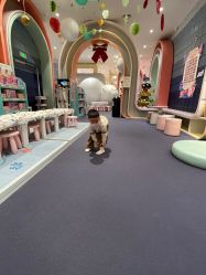 -奈尔宝·儿童乐园·亲子餐厅(华采天地店)