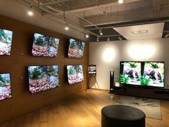 -Sony Store 索尼(上海淮海中路店)