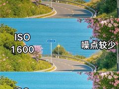 -CGWANG王氏教育(上海校区)