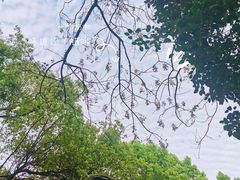 -杭州半山国家森林公园