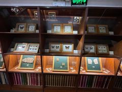 -上海大自然野生昆虫馆(东方明珠·爬宠昆虫探索中心)