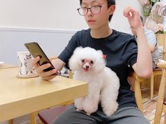 -酷豆宠物咖啡·宠物美食·撸猫馆