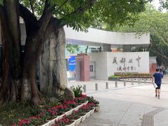 -成都七中(林荫校区)