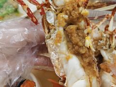 -强记龙虾钳(定安里店)
