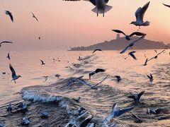 -昆明冠生园·蛋糕·面包(南强街店)