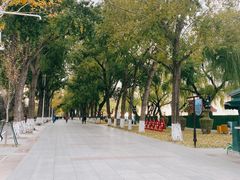 -人民防洪胜利纪念塔