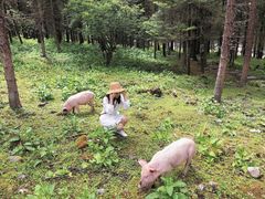 -硗碛藏寨·神木垒景区