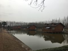 -金岛生态园烧烤露营地