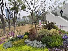 -后襄河公园