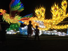 -昆山城市生态森林公园