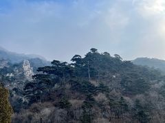 -泰山风景名胜区