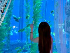 -南昌融创海世界