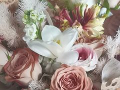 -上海星瀚奔驰4S店(红柳路店)