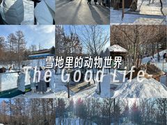 -横道河子东北虎林园