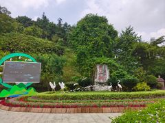 -广州白江湖森林公园