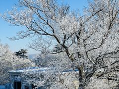 -亚布力新体委滑雪场