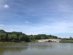-八大山人梅湖景区