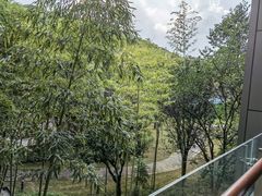 -上海佘山世茂艾美酒店