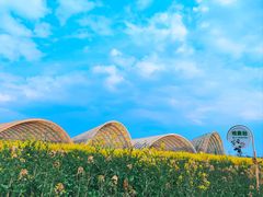-中国天府农业博览园