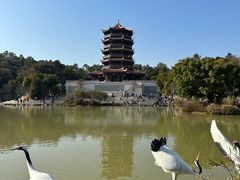 -八仙山公园