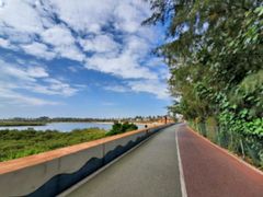 -北海金海湾红树林生态旅游区