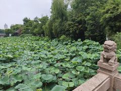 -南通濠河风景名胜区