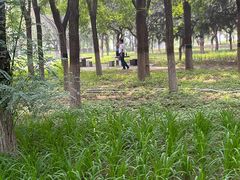 -大兴滨河森林公园