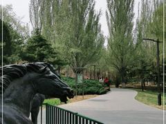 -元大都城垣遗址公园