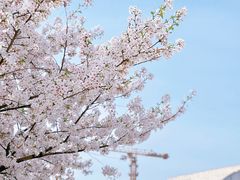 -龙美术馆(西岸馆)