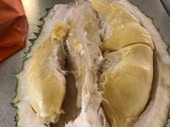 -都念榴莲·城市榴莲