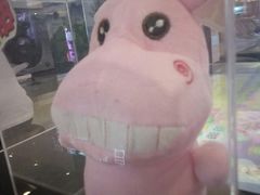 -上海浦东新区民办小白鸽幼儿园