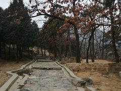 -北京鹫峰国家森林公园