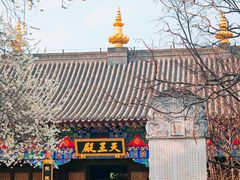 -护国法轮寺