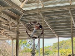 -泉州海丝野生动物世界