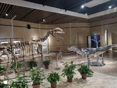 -自贡恐龙博物馆