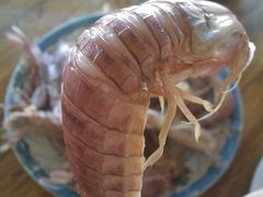 -三姐妹平价海鲜