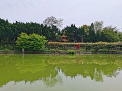 -嘉定紫藤园