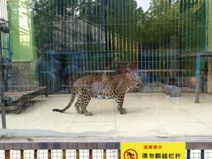 -荆州中山公园动物园