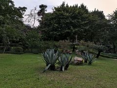 -晓港公园