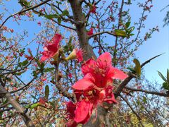 -眉山湿地公园(东坡区)