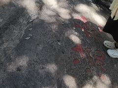 -白鹿洞书院