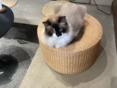 -seeu coffee(江滩店)