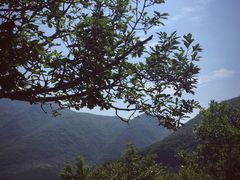 -白草畔自然风景区