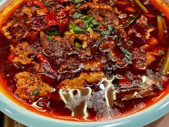 -茅庐毛血旺(烟台大悦城店)
