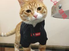 -PETKIT小佩宠物(古北店)